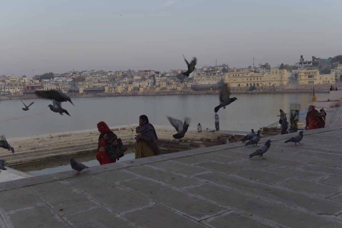 Birds flying over the steps and water at Pushkar Lake.