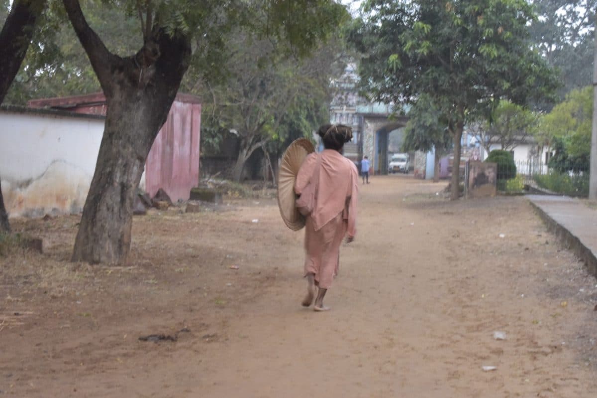 A figure carrying a woven hat walks away along a tree-lined path.